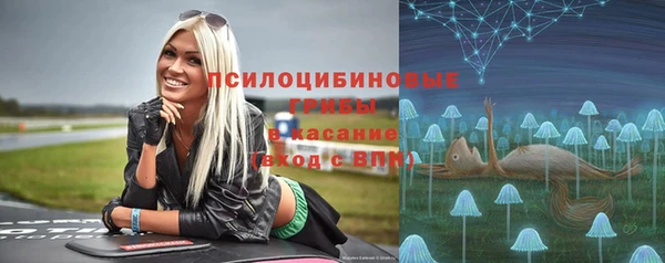 СК Ладушкин