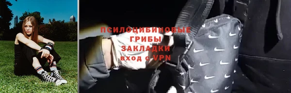мескалин Лабытнанги