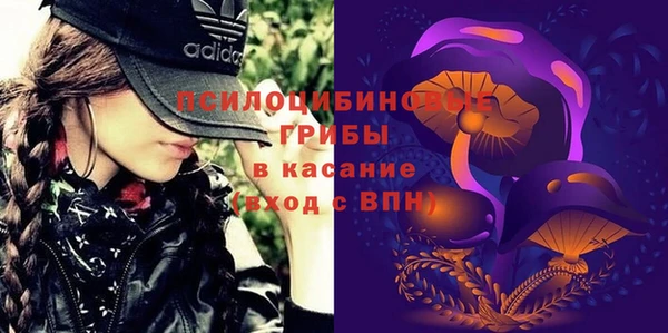 СК Ладушкин