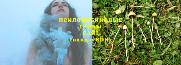 мескалин Лабытнанги