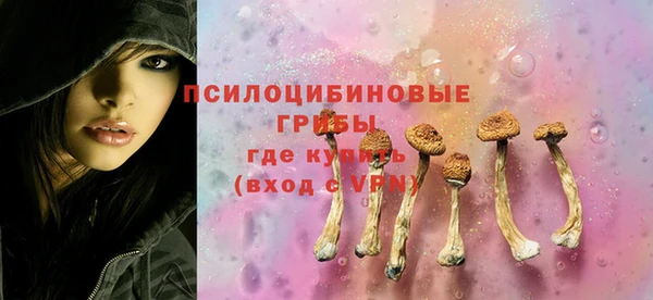 СК Ладушкин