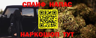 гашик Кандалакша