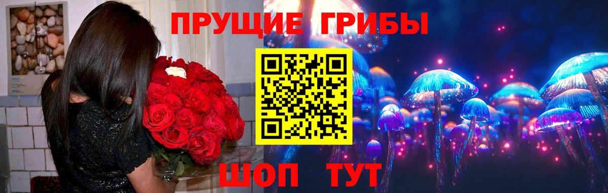 Галлюциногенные грибы мухоморы  Вход с VPN  Тольятти  Псилоцибиновые грибы прущие грибы 